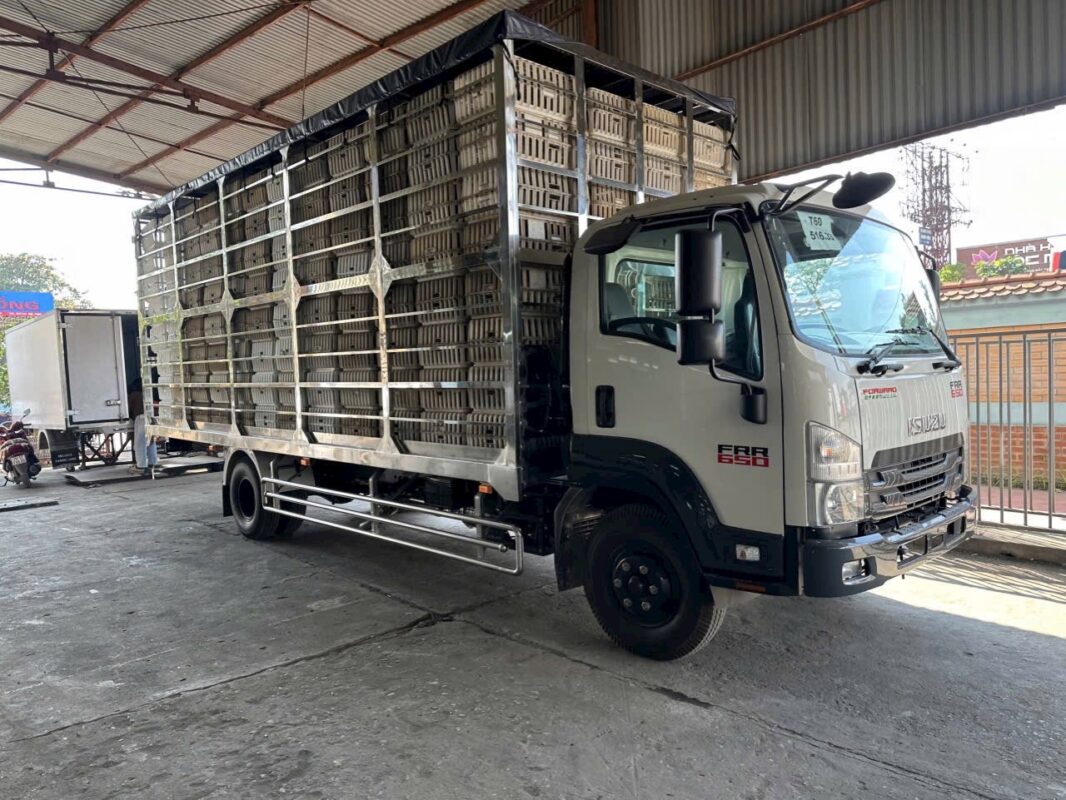 Xe Tải Isuzu FRR90NE5 6.5 Tấn Chở Gia Cầm