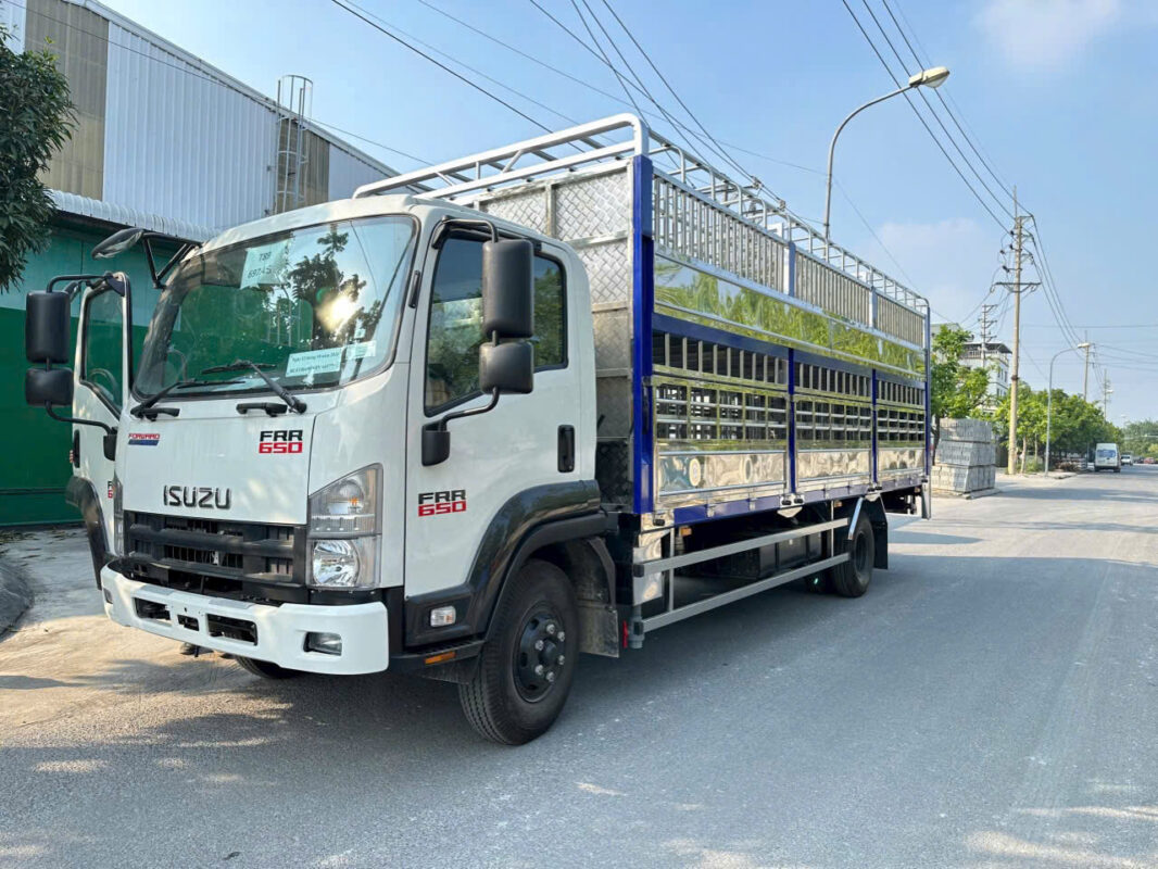 Xe Tải Isuzu FRR90NE5 6.5 Tấn Chở Gia Súc